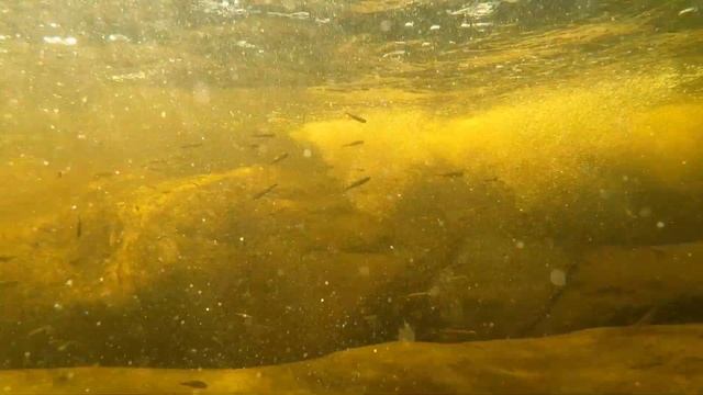 Джакузи на Севере смотреть онлайн