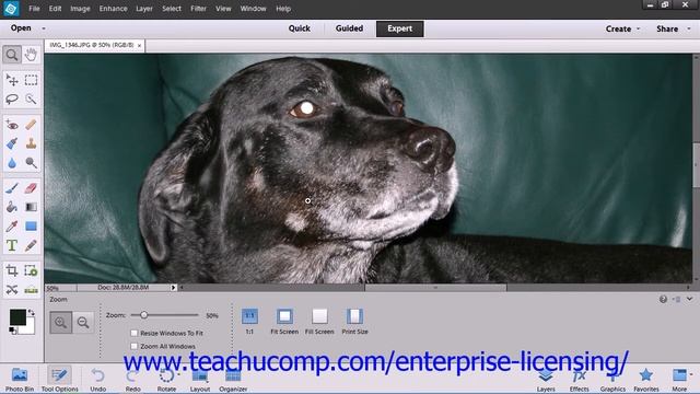 Adobe Photoshop Elements 12 Tutorial Edit Modes Employee Group Training 3.6 смотреть онлайн