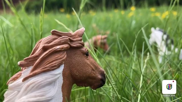 Служанка в замке на самом деле королева ? Шляйх клип/ лошади Шляйх смотреть онлайн