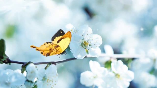 "улыбка мамы" -3 минусовка смотреть онлайн