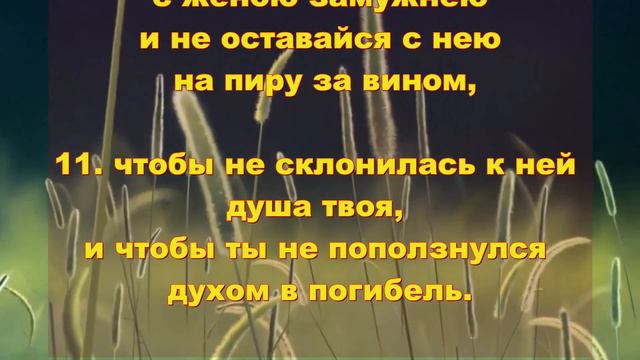 9. Сирах смотреть онлайн