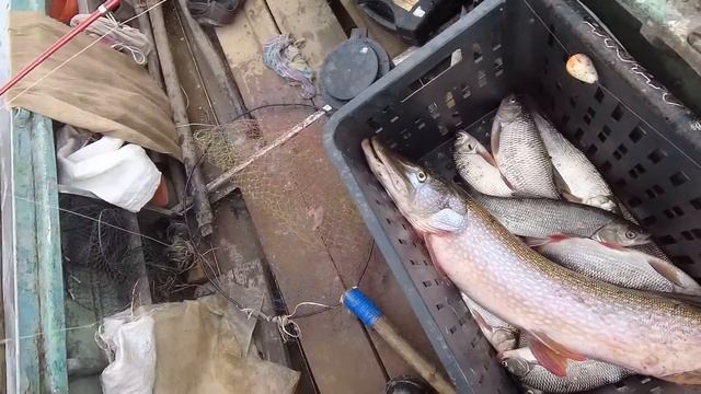 р. Обь. На джиг ...+ смотреть онлайн