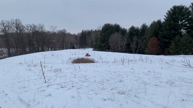 arctic cat f7 sno stuff can (insane echo) смотреть онлайн