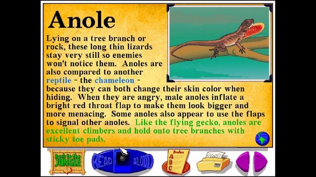 Let's Explore the Jungle (Junior Field Trips) - Part 19 (Gameplay/Walkthrough) смотреть онлайн