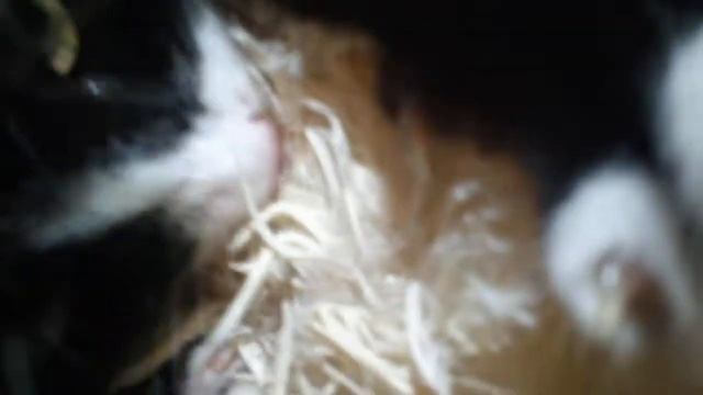 Так вкусно! смотреть онлайн