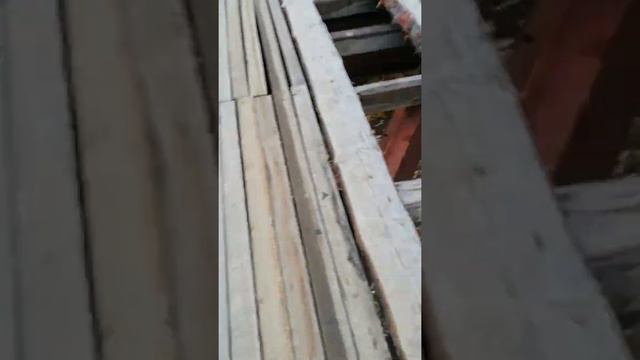 Лес тайга Сибирь.... смотреть онлайн