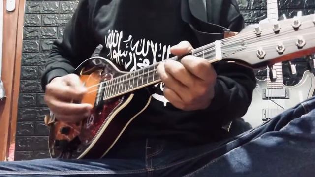 Mandolin Tujhe Dekha To ye Jana Sanam смотреть онлайн