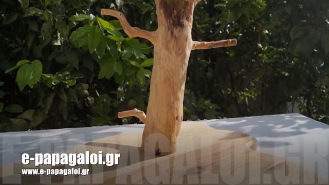 java tree medium | e papagaloi gr смотреть онлайн