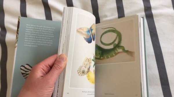 Book Haul | Design and Illustration Inspiration