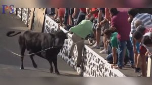 Уличная Коррида. Испанцы жгут, а бычок их топчет, молодцом!