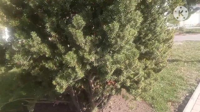 Экскурсия по Тирасполю. На улице +30, а на календаре 22 октября смотреть онлайн