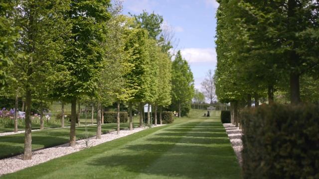 In conversation with Alan Titchmarsh | RHS Ambassador | Royal Horticultural Society смотреть онлайн