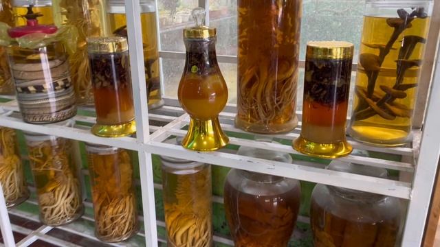 Путешествие на мопеде в Далат смотреть онлайн