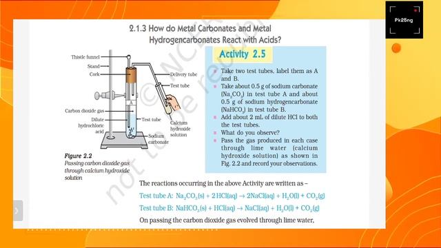 What happens when sodium carbonate react with dilute hydrochloric acid NCERT science class 10th ch2 смотреть онлайн