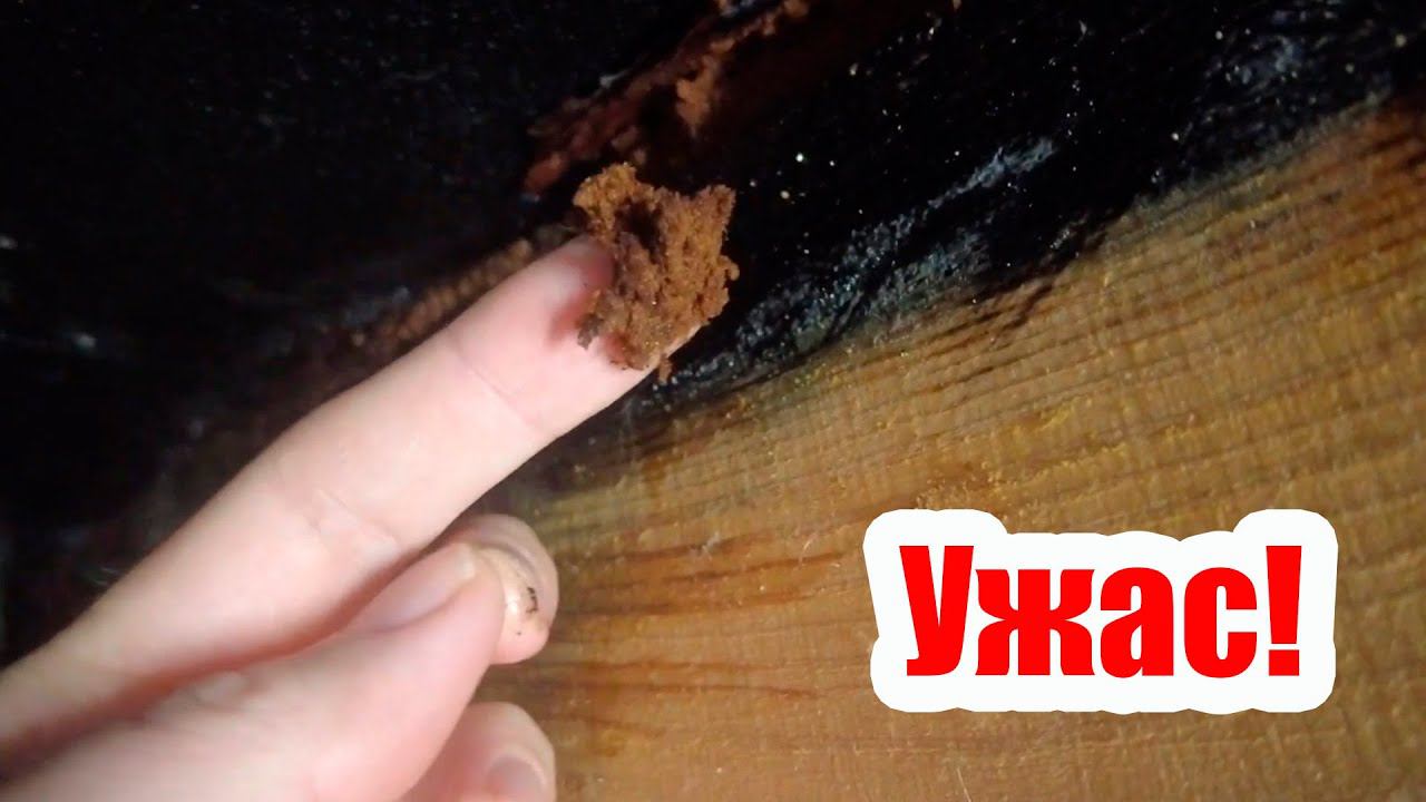 ПОЧЕМУ УХОДИТ ТЕПЛО И ГНИЮТ СТРОПИЛА смотреть онлайн