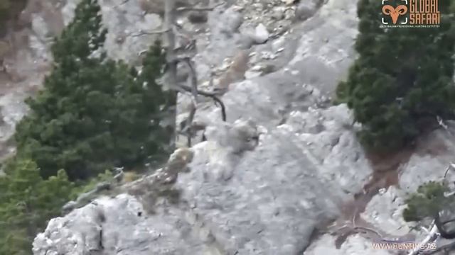 Hunting for Chartreuse chamois (France) - Охота на серну Шартрёз Франция 2014 смотреть онлайн