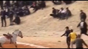 Казах на скаку оседлал коня