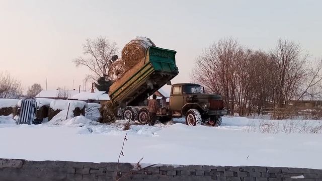 ЗИЛ-131(дизель) в целик по снегу завозим сено смотреть онлайн