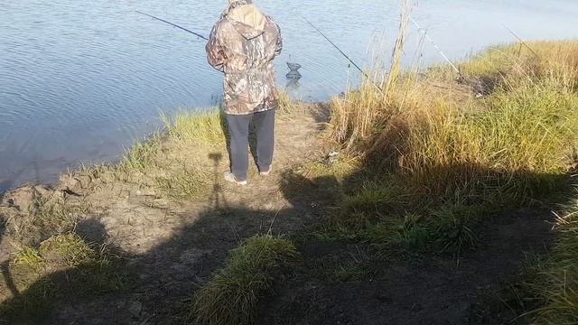 Самоподсекающая удочка. ТЕСТ! Честный отзыв! Не покупайте!!! смотреть онлайн