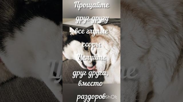 Берегите и цените вашу Любовь ?❤️ смотреть онлайн
