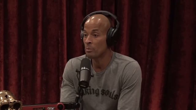 Joe Rogan & David Goggins Real Opinion on FAT MODELS... смотреть онлайн
