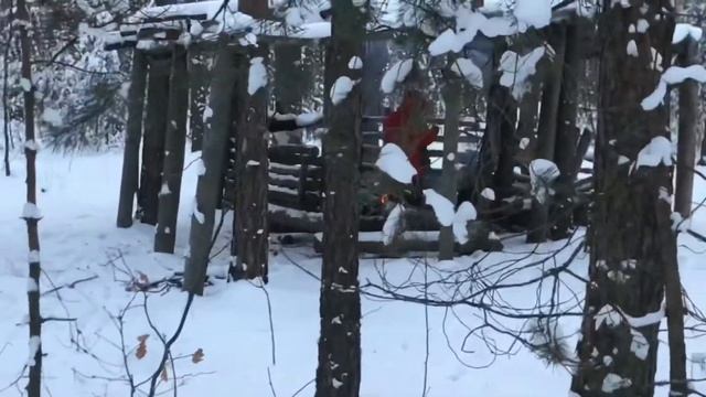 Мы попали в аномалию. Ядовитое пойло. Часть2 смотреть онлайн
