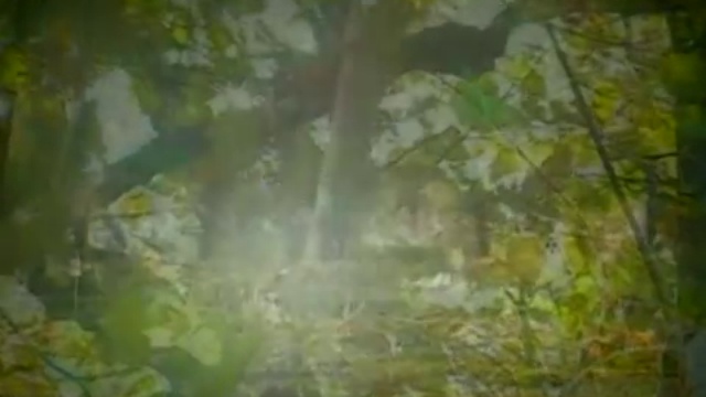 Стихи - (В. Хлебников - Стая лёгких времирей) смотреть онлайн