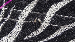 2 способа убрать затяжки на мебели