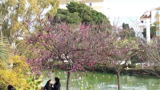 Парк Ла Палома - приглашаю прогуляться смотреть онлайн