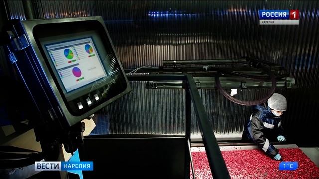 Еще одна карельская компания получила знак качества «Сделано в Карелии» смотреть онлайн