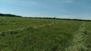 жатка Жвн  на  трактор МТЗ в работе.#трактор #farming #сенокос #жатка #мтз82