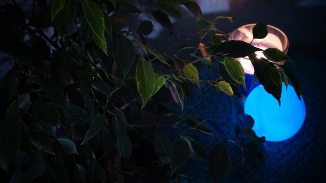 ASMR чтение рассказа шёпотом под треск огня/Успокаивающий мужской шёпот для сна и релакса. смотреть онлайн