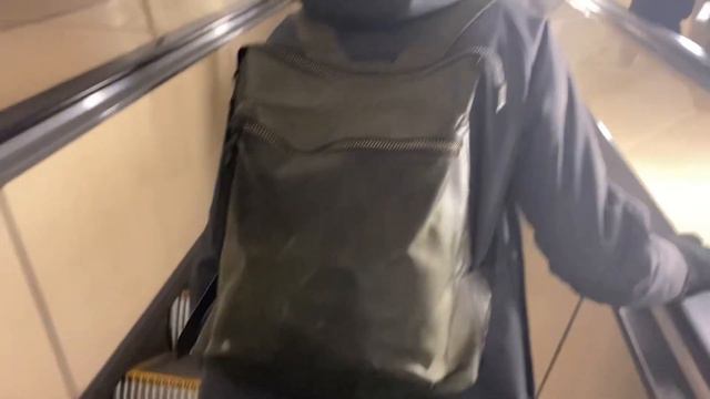 Веселые выходные с животными