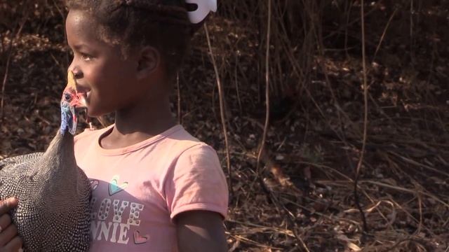 Girls with guineafowl bird (Numida meleagris) смотреть онлайн