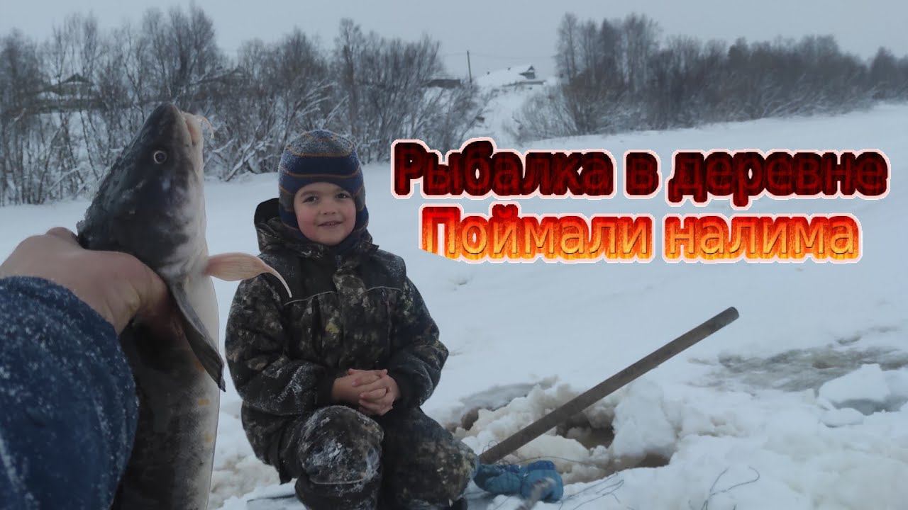 Ловля налима на жерлицы в деревне