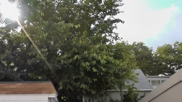 Panasonic HDC-TM80 test video 2 смотреть онлайн