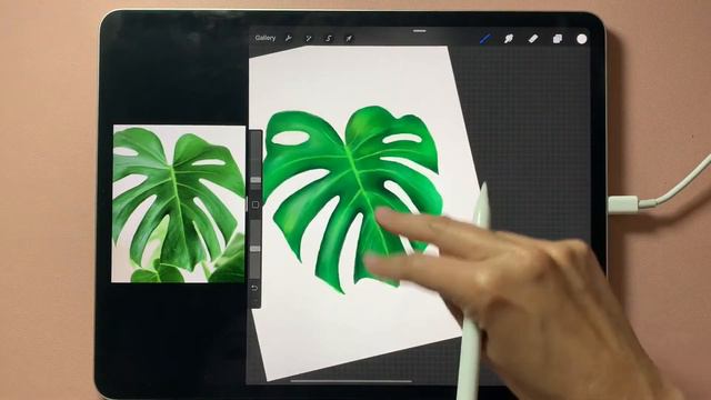 Painting a Monstera Leaf Pattern in Procreate - Part 2 смотреть онлайн