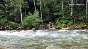 Река Иня. Алтайский край. #Кристальныереки #текучесть