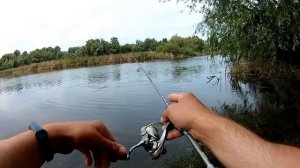 Мормышинг с DAYO Liropus 198 см. 0.2-0.8 гр. Ловля краснопёрки в июне.