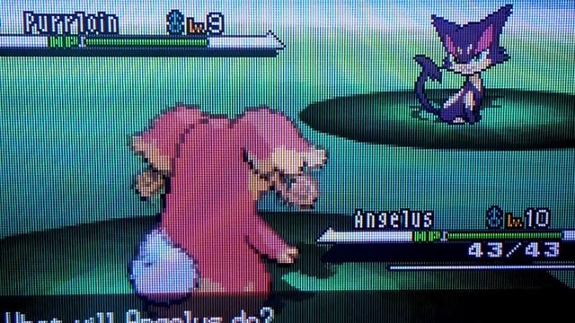 LIVE!! Shiny Purrloin AND Munna in White after 1238 and 6593 REs (Unova Nostalgia Quest #4) смотреть онлайн