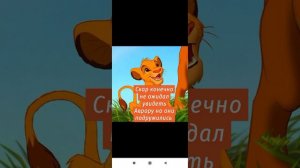 Король лев - История Авроры