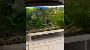 Ремонт гостиной 18 м, в квартире своими руками