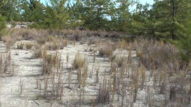ПУТЕШЕСТВИЕ НА КУБУ ЧАСТЬ ВТОРАЯ ПОЛЁТ НА ОСТРОВ КАЙО ЛАРГО CUBA FLIGHT TO THE ISLAND OF CAYO LARGO смотреть онлайн