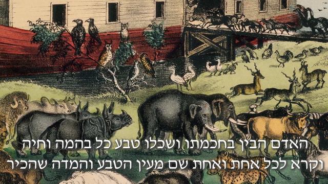 What's In A Name? - Parshat Noach смотреть онлайн
