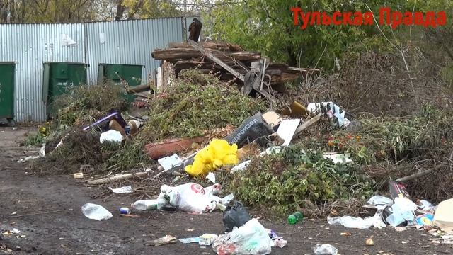 Пруд в Спасском превращается в канализационную яму смотреть онлайн