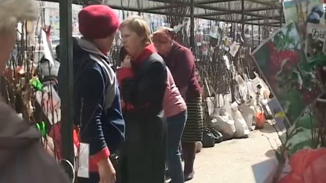 Рейд по саженцам смотреть онлайн