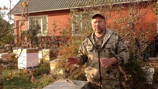 Что такое поздний расплод? Как с ним бороться? пчеловодство смотреть онлайн