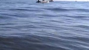 На Байкале рыбалка летом.mp4