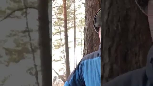 Теща и зять (анекдот) смотреть онлайн