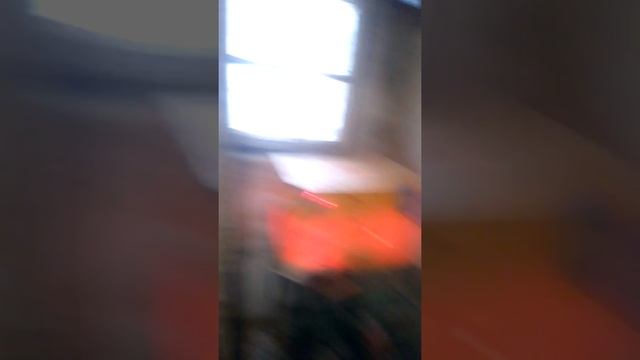 НОВЫЙ ВИД ПОРОДЫ ПЕРЕПЕЛОВ смотреть онлайн